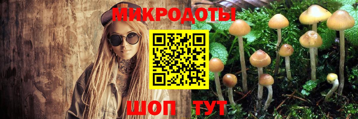 Псилоцибиновые грибы MAGIC MUSHROOMS Чусовой